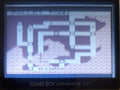 Pokemon Roaming Red GBC Video Game Gameboy Color ROM Hack by VintageVideoGameStore