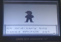 Pokemon Bronze 2 GBC Video Game Gameboy Color ROM Hack by VintageVideoGameStore