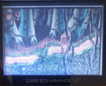 Crash Bandicoot XS GBA Video Game Cartridge Game Boy Advance 2002 UKV by VintageVideoGameStore