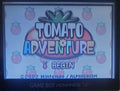 Tomato Adventure GBA Video Game Cartridge Game Boy Advance 2002 by VintageVideoGameStore