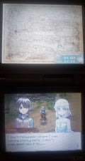 Rune Factory A Fantasy Harvest Moon NDS Video Game Nintendo DS 2006 by VintageVideoGameStore