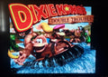 Donkey Kong Country 3 DKC 3 SNES Video Game Super Nintendo 1996