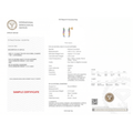 IGI Certified 0.96 Ct Multi Color Unheated Sapphire and Diamond 14K Gold Zigzag Drop Earrings by Fine Color Jewels