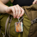 National Parks Petrified Forest HDX Apple Airpods Pro 1 & 2 Case Cover by Affinity Bands