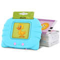 224 Words Kid Flash Talking Cards by DailySale