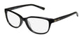 Trussardi 12533 Eyeglasses by ModaFrames