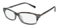 Trussardi 12504 Eyeglasses by ModaFrames