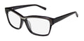 Trussardi 12500 Eyeglasses by ModaFrames