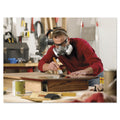 3M Half Facepiece Paint Spray/Pesticide Respirator, Large