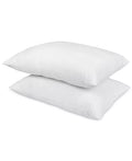 Home Design Down-Alternative 2-Pack Pillows, Standard/Queen by Vanessa Jane