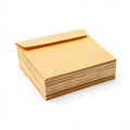 Jam Paper 9X12 envelopes 100 pack by Vanessa Jane