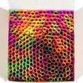 250-Pieces: Wow Plastic Neon Disposable Plastic Drinking Straws by DailySale