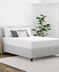 Allerease Maximum Allergy Relief Zippered Mattress Protector, Queen by Vanessa Jane