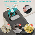 25LBS Vertical Rice Dispenser With Dustproof Lid Large Capacity Grain Storage Container With Measuring Cup Built-In by DailySale