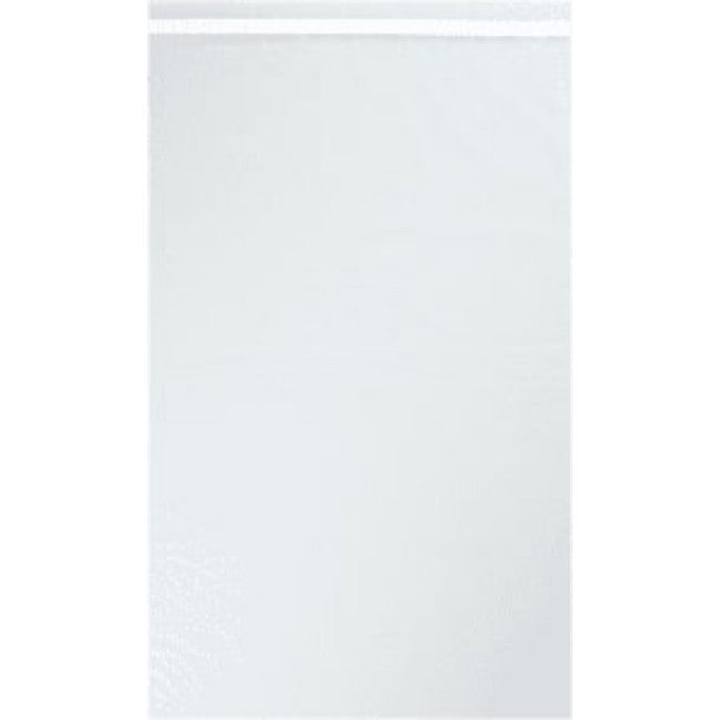 Bag Scrty Drug Tray Bg 20X29N 100 by Pasteur Pharmacy