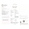 IGI Certified 3.34 Ct Multi Color Unheated Sapphire and Diamond 14K Yellow Gold Half Curved Hoop Earrings by Fine Color Jewels