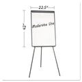 MasterVision Basic Tripod Melamine Presentation Easel, 22.5 x 42, White/Black