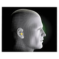 3M E-A-R Classic Earplugs, Pillow Paks, Cordless, PVC Foam, Yellow, 200 Pairs/Box