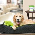 BRIGHT Air Pet Odor Eliminator, Cool Citrus, 14 oz Jar, 6/Carton