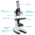 28-Pieces: Kid Microscope Set Experimental Observation Monocular by DailySale