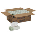 Georgia Pacific Facial Tissue, 2-Ply, White, 100 Sheets/Box, 30 Boxes/Carton
