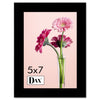 DAX Solid Wood Photo/Picture Frame, Easel Back, 5 x 7, Black