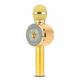 3-in-1 Wireless Karaoke Microphone by DailySale