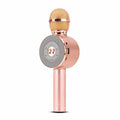 3-in-1 Wireless Karaoke Microphone by DailySale