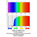 3 Pack Classic Blue Light Filter Reading Glasses UV109 by Pasteur Pharmacy