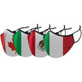 3-Pack: Double Layer Washable and Reusable Flag Masks With Adjustable Loop by DailySale