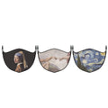 3-Pack: Famous Art Paintings Reusable and Washable 2-Layer Non-Medical Face Mask by DailySale