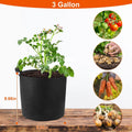 3-Pack: Planter Bags Breathable Planting Fabric Pots with Harvest Window by DailySale