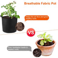 3-Pack: Planter Bags Breathable Planting Fabric Pots with Harvest Window by DailySale