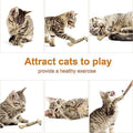 3-Pack: Silvervine Sticks Cat Toys by DailySale