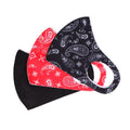 3-Pack: Washable Masks by DailySale