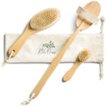3-Piece Set: Blu Oasis Premium Dry Brushes with Travel Bag by DailySale
