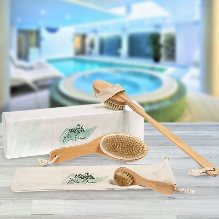 3-Piece Set: Blu Oasis Premium Dry Brushes with Travel Bag by DailySale