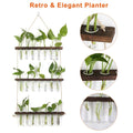 3-Tier Wall Hanging Glass Tube Planter by DailySale