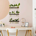 3-Tier Wall Hanging Glass Tube Planter by DailySale