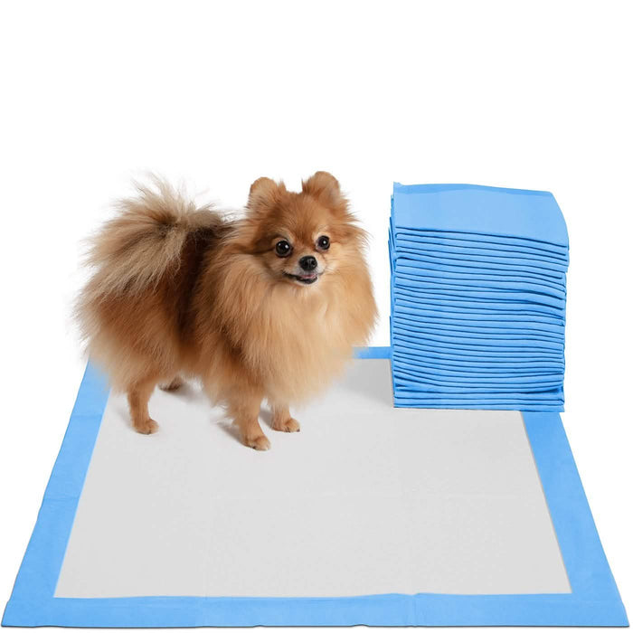30-Pack: Paws & Pals Puppy Pee Pads Potty Training Leak-Proof by DailySale