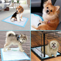 30-Piece: Ownpets Pet Dog Training Pads by DailySale