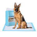 30-Piece: Ownpets Pet Dog Training Pads by DailySale