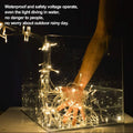 300LED Warm White Starry Fairy String Curtain Light by DailySale