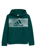 Adidas Kids Ctn Event21 Pullover Hoodie in Green by Vanessa Jane