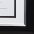 DAX 2-Tone 11 x 14 Document Frame, 8.5 x 11 Insert, Black/Silver Frame, White Mat