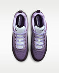Nike SB Air Max Ishod - Grand Purple by Richmond Hood Company