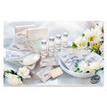 Dial Amenities Deodorant Soap, Pleasant Scent, # 1 1/2 Individually Wrapped Bar, 500/Carton