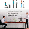 32" Height Adjustable Stand Up Desk Converter Gas Spring Desk Riser Converter Sit to Stand by DailySale