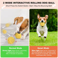 Smart Rolling & Bouncing Pet Ball – Motion-Activated by DailySale