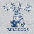 Yale Bulldog Pullover Hooded Sweatshirt - Gray by Tee Luv
